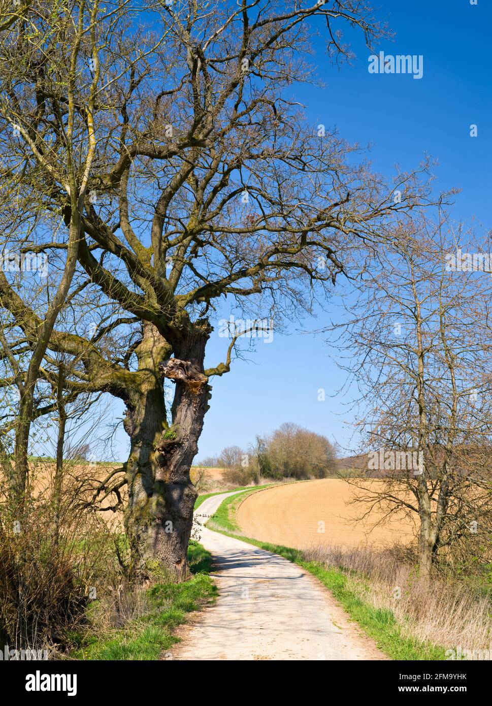 Europe, Allemagne, Hesse, réserve naturelle Lahn-Dill-Bergland, Gladenbach, Banque D'Images