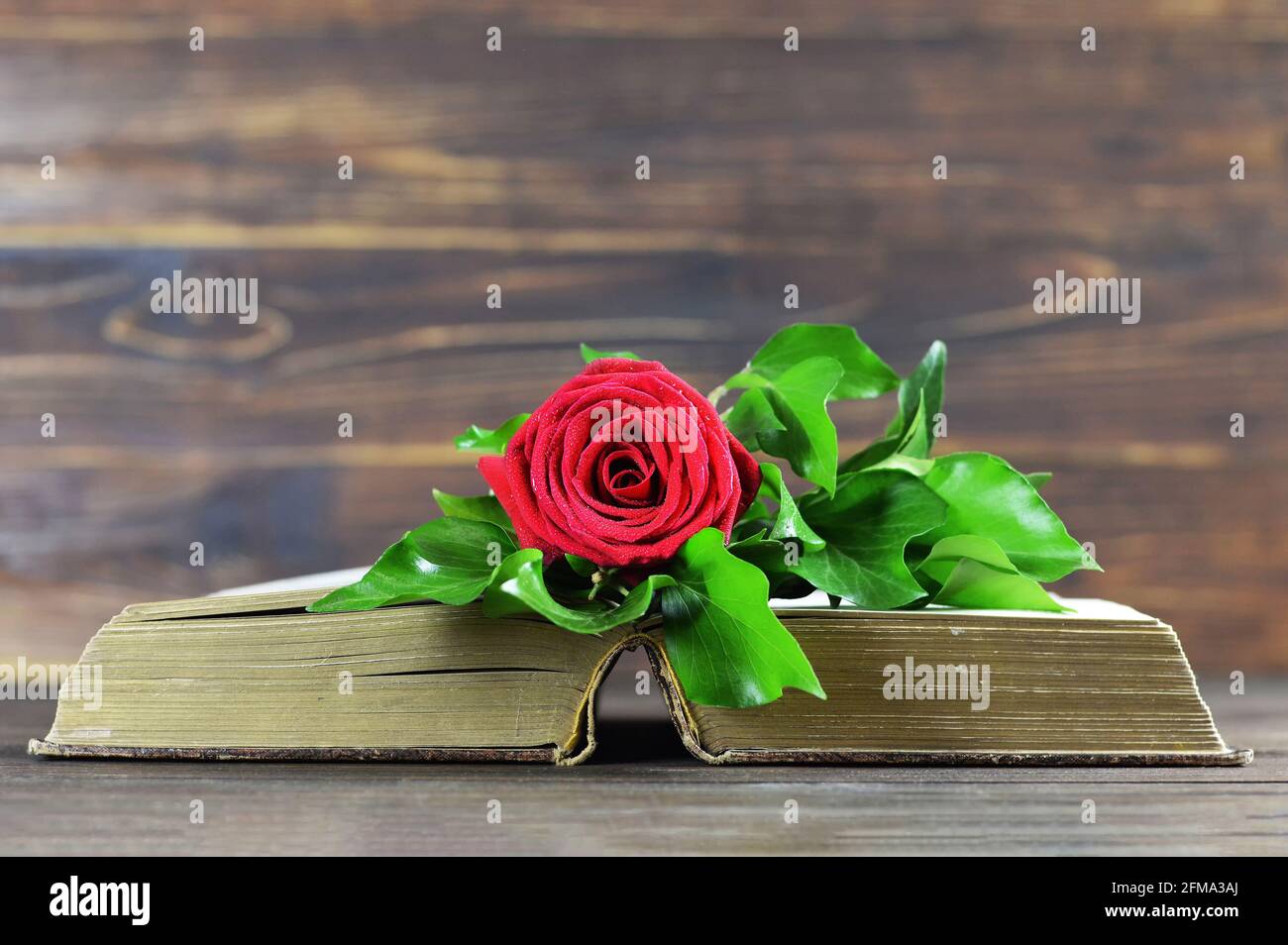 Carte de condoléances avec rose rouge sur livre ouvert Banque D'Images