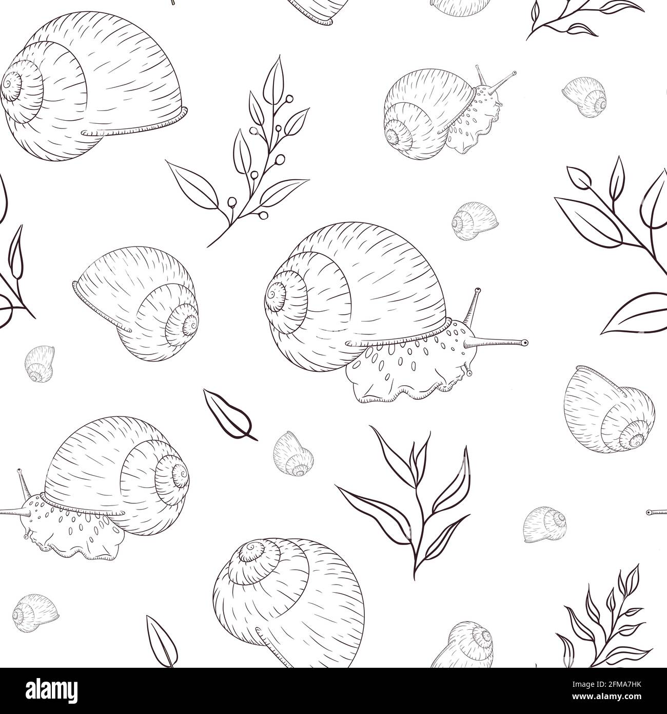 Motif d'esquisse monochrome détaillé de la cochlée de raisin. Illustration de mollusque gravée avec feuilles pour l'emballage du papier, du fond, du textile et du tissu Illustration de Vecteur