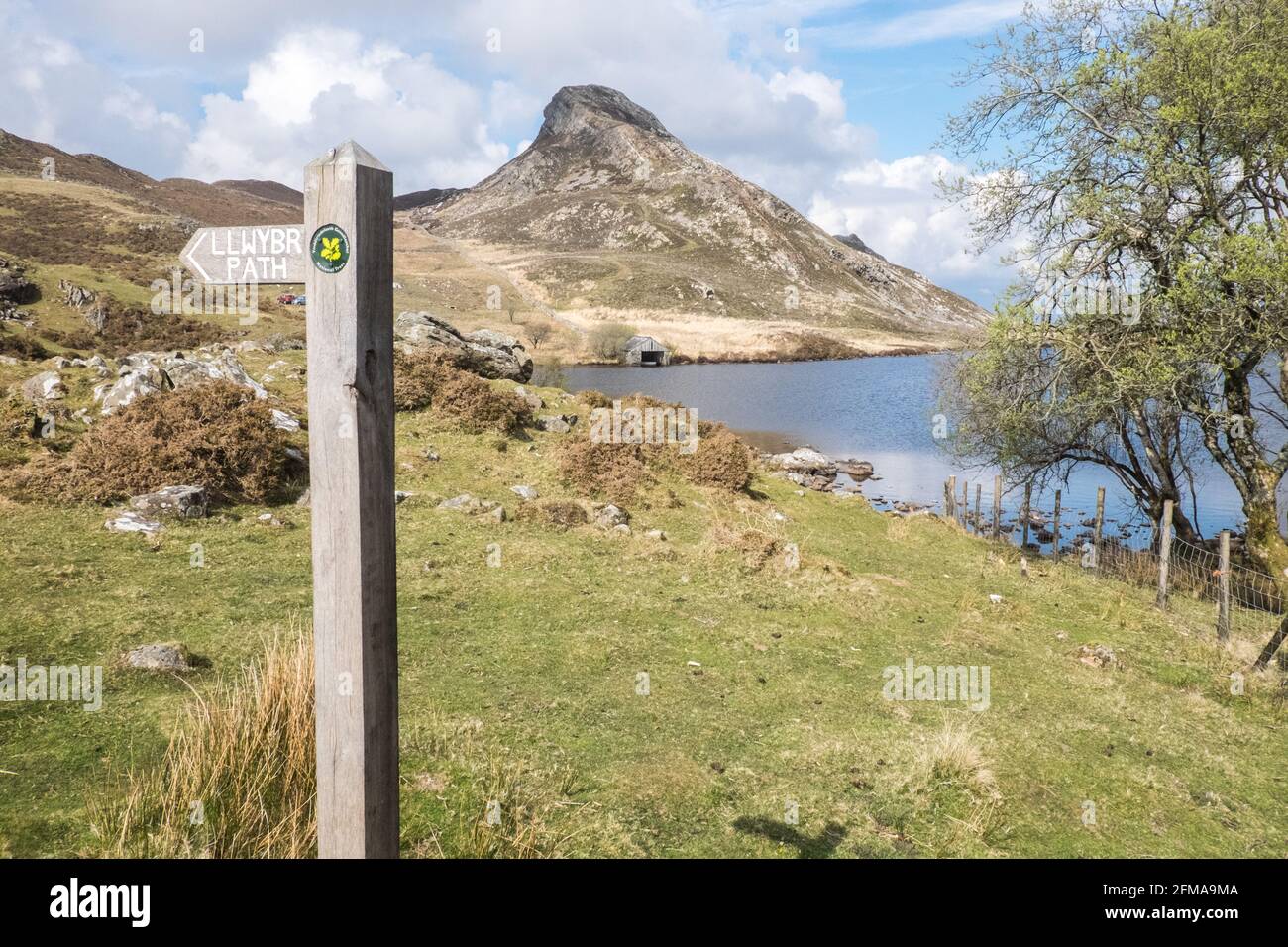 Lac Cregennan,Lacs Cregennan,à,la,base,près,Cadair Idris,Cader Idris,montagne.pittoresque,isolé,du milieu,de,l'ouest,du pays de Galles,rural,pittoresque,rural,emplacement,la colline principale 'pointy' que vous voyez à côté du lac est appelée 'Pared y Cefn Hir' et est accessible à pied.Il est aussi raide qu'il regarde, mais une fois que vous êtes au sommet, vous pouvez suivre le chemin vallonné sur toutes les crêtes, avec vue sur Barmouth et sur les lacs.Vous descendez et suivez ensuite le chemin au pied de la colline, ou vous pouvez marcher entre les lacs après la maison de bateau. Banque D'Images