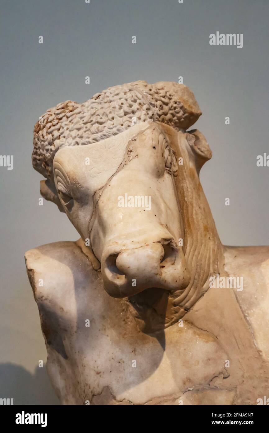 Gros plan de la tête en marbre de la tête de taureau Minotaur sur l'homme Corps de la mythologie grecque avec fissure à travers le visage et les cornes cassé Banque D'Images