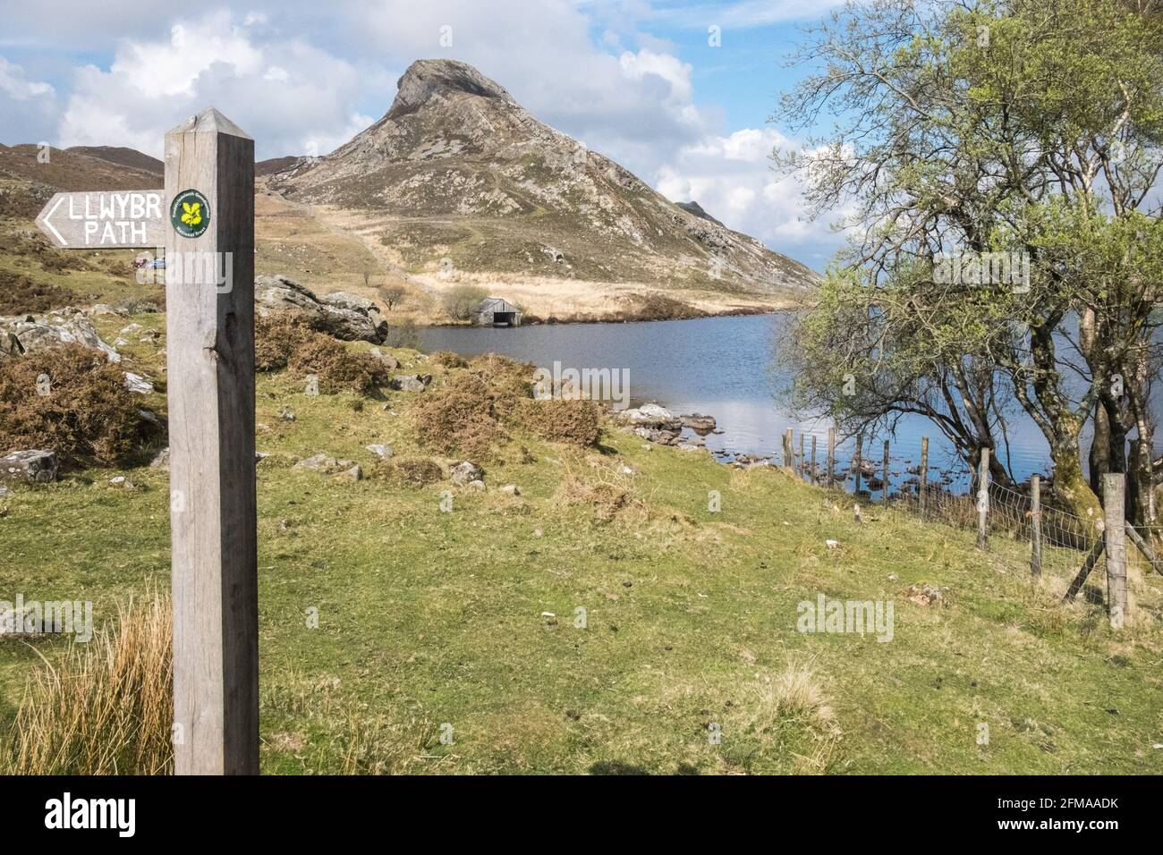 Lac Cregennan,Lacs Cregennan,à,la,base,près,Cadair Idris,Cader Idris,montagne.pittoresque,isolé,du milieu,de,l'ouest,du pays de Galles,rural,pittoresque,rural,emplacement,la colline principale 'pointy' que vous voyez à côté du lac est appelée 'Pared y Cefn Hir' et est accessible à pied.Il est aussi raide qu'il regarde, mais une fois que vous êtes au sommet, vous pouvez suivre le chemin vallonné sur toutes les crêtes, avec vue sur Barmouth et sur les lacs.Vous descendez et suivez ensuite le chemin au pied de la colline, ou vous pouvez marcher entre les lacs après la maison de bateau. Banque D'Images