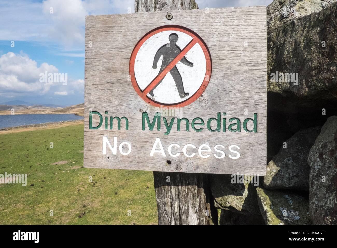 Lac Cregennan,Lacs Cregennan,à,la,base,près,Cadair Idris,Cader Idris,montagne.pittoresque,isolé,du milieu,de,l'ouest,du pays de Galles,rural,pittoresque,rural,emplacement,la colline principale 'pointy' que vous voyez à côté du lac est appelée 'Pared y Cefn Hir' et est accessible à pied.Il est aussi raide qu'il regarde, mais une fois que vous êtes au sommet, vous pouvez suivre le chemin vallonné sur toutes les crêtes, avec vue sur Barmouth et sur les lacs.Vous descendez et suivez ensuite le chemin au pied de la colline, ou vous pouvez marcher entre les lacs après la maison de bateau. Banque D'Images