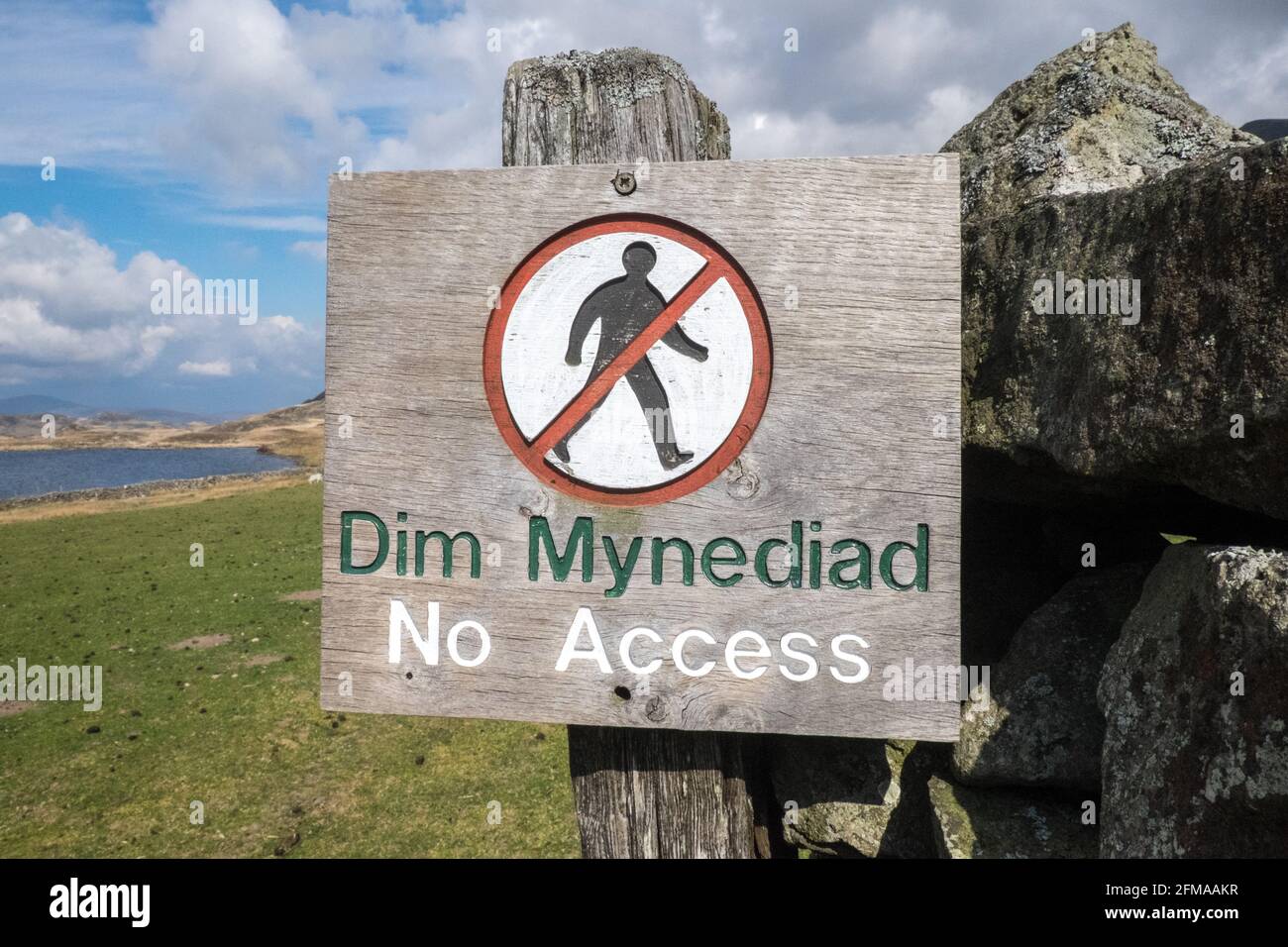 Lac Cregennan,Lacs Cregennan,à,la,base,près,Cadair Idris,Cader Idris,montagne.pittoresque,isolé,du milieu,de,l'ouest,du pays de Galles,rural,pittoresque,rural,emplacement,la colline principale 'pointy' que vous voyez à côté du lac est appelée 'Pared y Cefn Hir' et est accessible à pied.Il est aussi raide qu'il regarde, mais une fois que vous êtes au sommet, vous pouvez suivre le chemin vallonné sur toutes les crêtes, avec vue sur Barmouth et sur les lacs.Vous descendez et suivez ensuite le chemin au pied de la colline, ou vous pouvez marcher entre les lacs après la maison de bateau. Banque D'Images