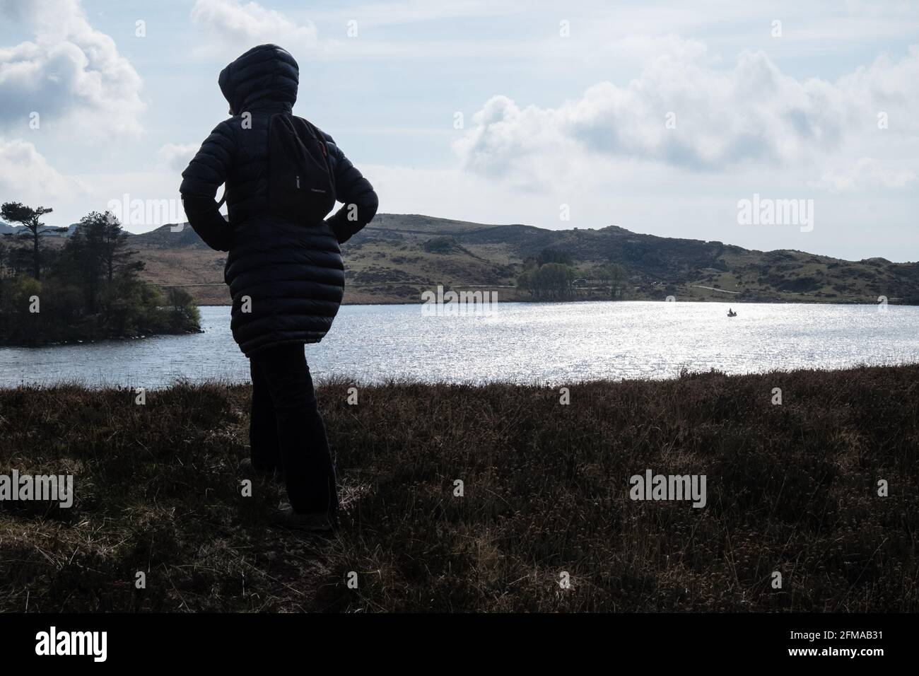 Lac Cregennan,Lacs Cregennan,à,la,base,près,Cadair Idris,Cader Idris,montagne.pittoresque,isolé,du milieu,de,l'ouest,du pays de Galles,rural,pittoresque,rural,emplacement,la colline principale 'pointy' que vous voyez à côté du lac est appelée 'Pared y Cefn Hir' et est accessible à pied.Il est aussi raide qu'il regarde, mais une fois que vous êtes au sommet, vous pouvez suivre le chemin vallonné sur toutes les crêtes, avec vue sur Barmouth et sur les lacs.Vous descendez et suivez ensuite le chemin au pied de la colline, ou vous pouvez marcher entre les lacs après la maison de bateau. Banque D'Images