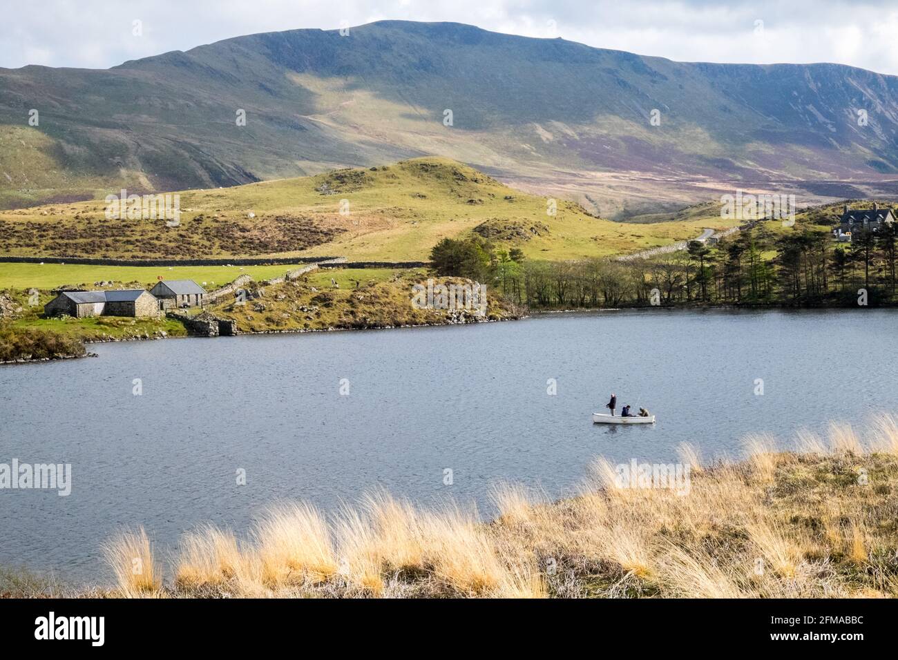 Lac Cregennan,Lacs Cregennan,à,la,base,près,Cadair Idris,Cader Idris,montagne.pittoresque,isolé,du milieu,de,l'ouest,du pays de Galles,rural,pittoresque,rural,emplacement,la colline principale 'pointy' que vous voyez à côté du lac est appelée 'Pared y Cefn Hir' et est accessible à pied.Il est aussi raide qu'il regarde, mais une fois que vous êtes au sommet, vous pouvez suivre le chemin vallonné sur toutes les crêtes, avec vue sur Barmouth et sur les lacs.Vous descendez et suivez ensuite le chemin au pied de la colline, ou vous pouvez marcher entre les lacs après la maison de bateau. Banque D'Images