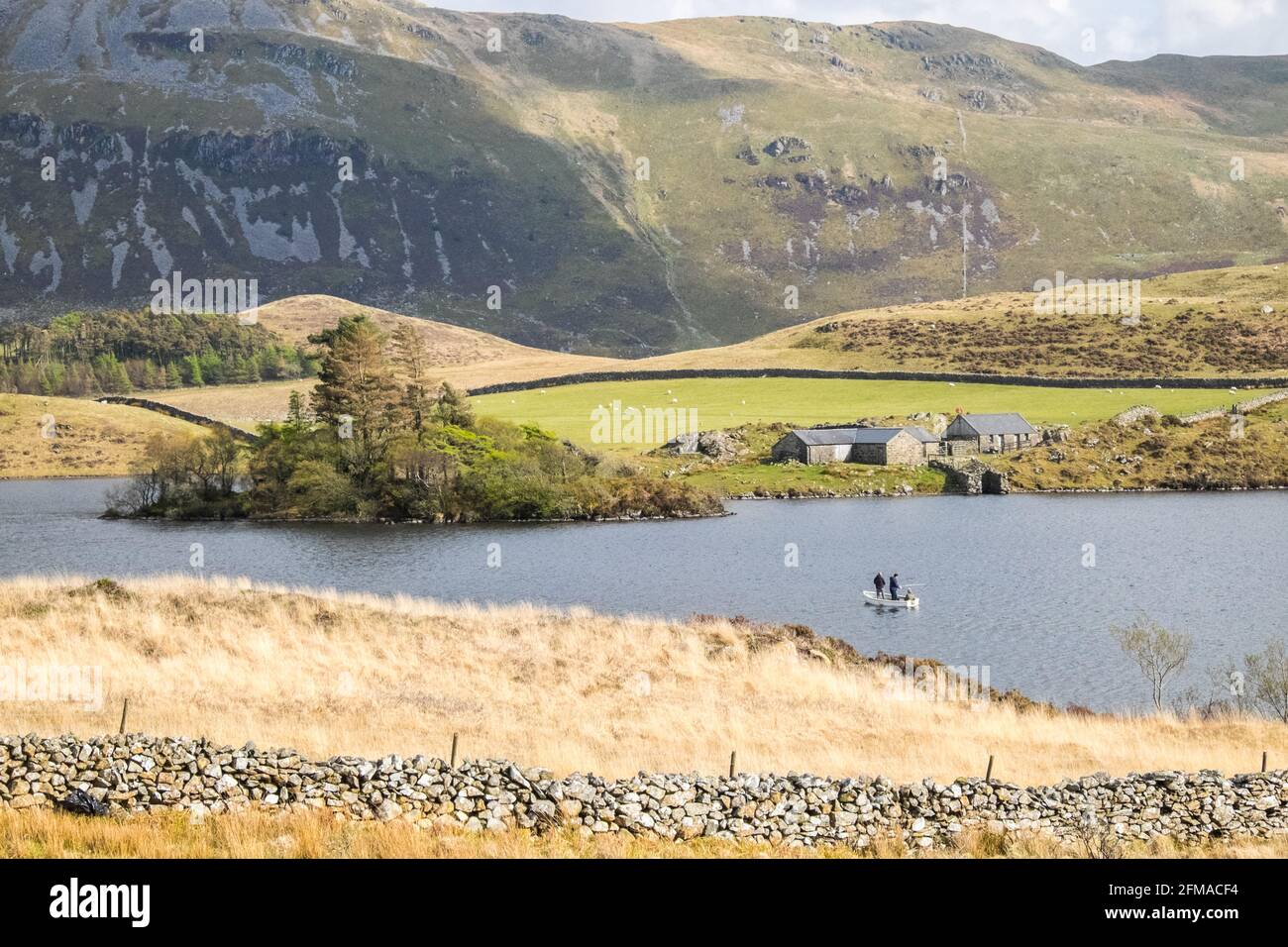 Lac Cregennan,Lacs Cregennan,à,la,base,près,Cadair Idris,Cader Idris,montagne.pittoresque,isolé,du milieu,de,l'ouest,du pays de Galles,rural,pittoresque,rural,emplacement,la colline principale 'pointy' que vous voyez à côté du lac est appelée 'Pared y Cefn Hir' et est accessible à pied.Il est aussi raide qu'il regarde, mais une fois que vous êtes au sommet, vous pouvez suivre le chemin vallonné sur toutes les crêtes, avec vue sur Barmouth et sur les lacs.Vous descendez et suivez ensuite le chemin au pied de la colline, ou vous pouvez marcher entre les lacs après la maison de bateau. Banque D'Images