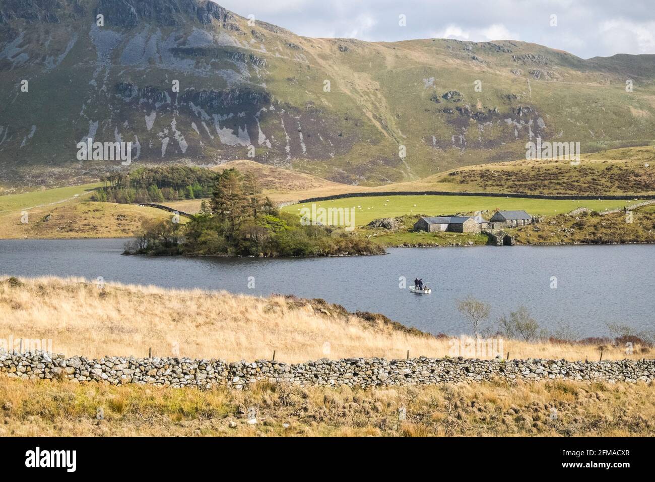 Lac Cregennan,Lacs Cregennan,à,la,base,près,Cadair Idris,Cader Idris,montagne.pittoresque,isolé,du milieu,de,l'ouest,du pays de Galles,rural,pittoresque,rural,emplacement,la colline principale 'pointy' que vous voyez à côté du lac est appelée 'Pared y Cefn Hir' et est accessible à pied.Il est aussi raide qu'il regarde, mais une fois que vous êtes au sommet, vous pouvez suivre le chemin vallonné sur toutes les crêtes, avec vue sur Barmouth et sur les lacs.Vous descendez et suivez ensuite le chemin au pied de la colline, ou vous pouvez marcher entre les lacs après la maison de bateau. Banque D'Images