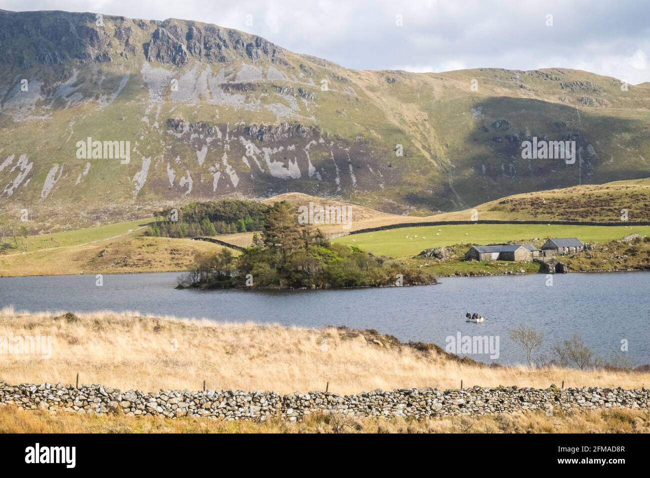 Lac Cregennan,Lacs Cregennan,à,la,base,près,Cadair Idris,Cader Idris,montagne.pittoresque,isolé,du milieu,de,l'ouest,du pays de Galles,rural,pittoresque,rural,emplacement,la colline principale 'pointy' que vous voyez à côté du lac est appelée 'Pared y Cefn Hir' et est accessible à pied.Il est aussi raide qu'il regarde, mais une fois que vous êtes au sommet, vous pouvez suivre le chemin vallonné sur toutes les crêtes, avec vue sur Barmouth et sur les lacs.Vous descendez et suivez ensuite le chemin au pied de la colline, ou vous pouvez marcher entre les lacs après la maison de bateau. Banque D'Images