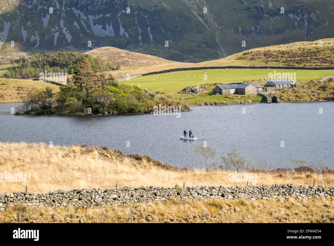 Lac Cregennan,Lacs Cregennan,à,la,base,près,Cadair Idris,Cader Idris,montagne.pittoresque,isolé,du milieu,de,l'ouest,du pays de Galles,rural,pittoresque,rural,emplacement,la colline principale 'pointy' que vous voyez à côté du lac est appelée 'Pared y Cefn Hir' et est accessible à pied.Il est aussi raide qu'il regarde, mais une fois que vous êtes au sommet, vous pouvez suivre le chemin vallonné sur toutes les crêtes, avec vue sur Barmouth et sur les lacs.Vous descendez et suivez ensuite le chemin au pied de la colline, ou vous pouvez marcher entre les lacs après la maison de bateau. Banque D'Images