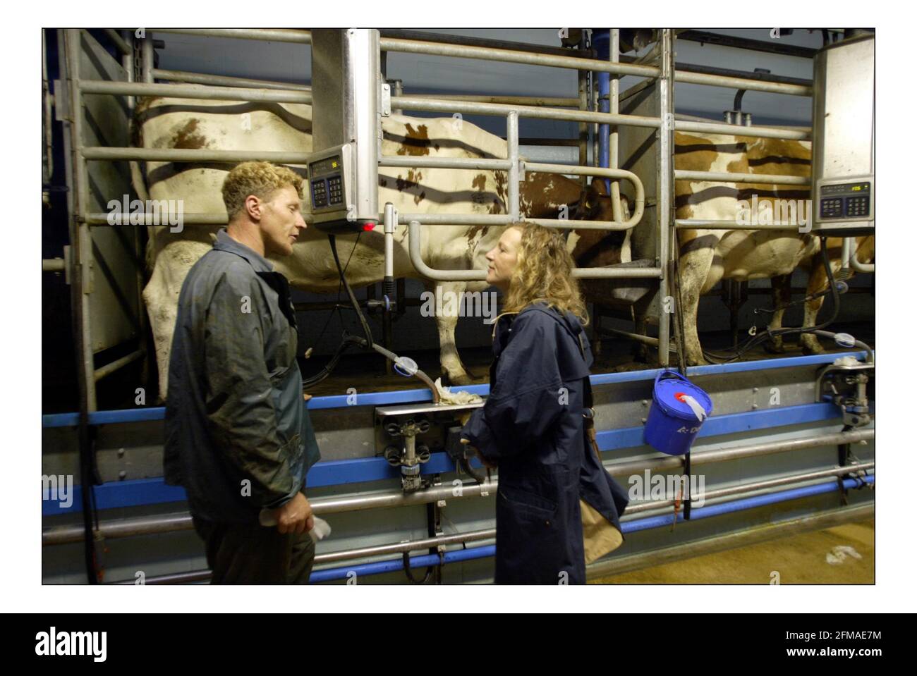 Deborah Ross passe la journée à travailler sur la ferme du Prince de Galles : ferme duché, ferme Broadfield, Tetbury.pic David Sandison 11/10/2005 Banque D'Images