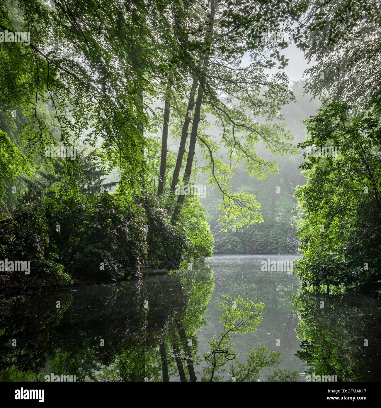 Reflet des arbres dans le nouveau lac du zoo de Berlin. Banque D'Images
