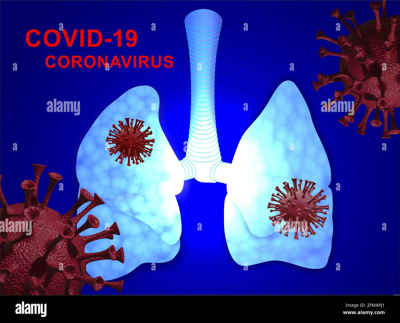 poumons humains, covid-19, coronavirus Banque D'Images
