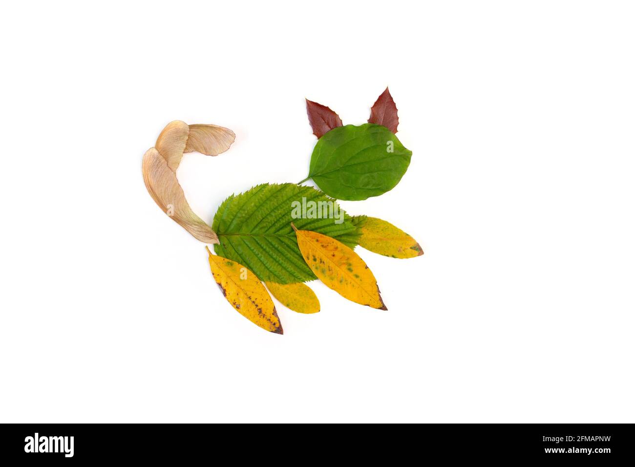 Bricolage feuilles animaux clip art, activité d'automne ou d'été pour les enfants, résumé chat Banque D'Images