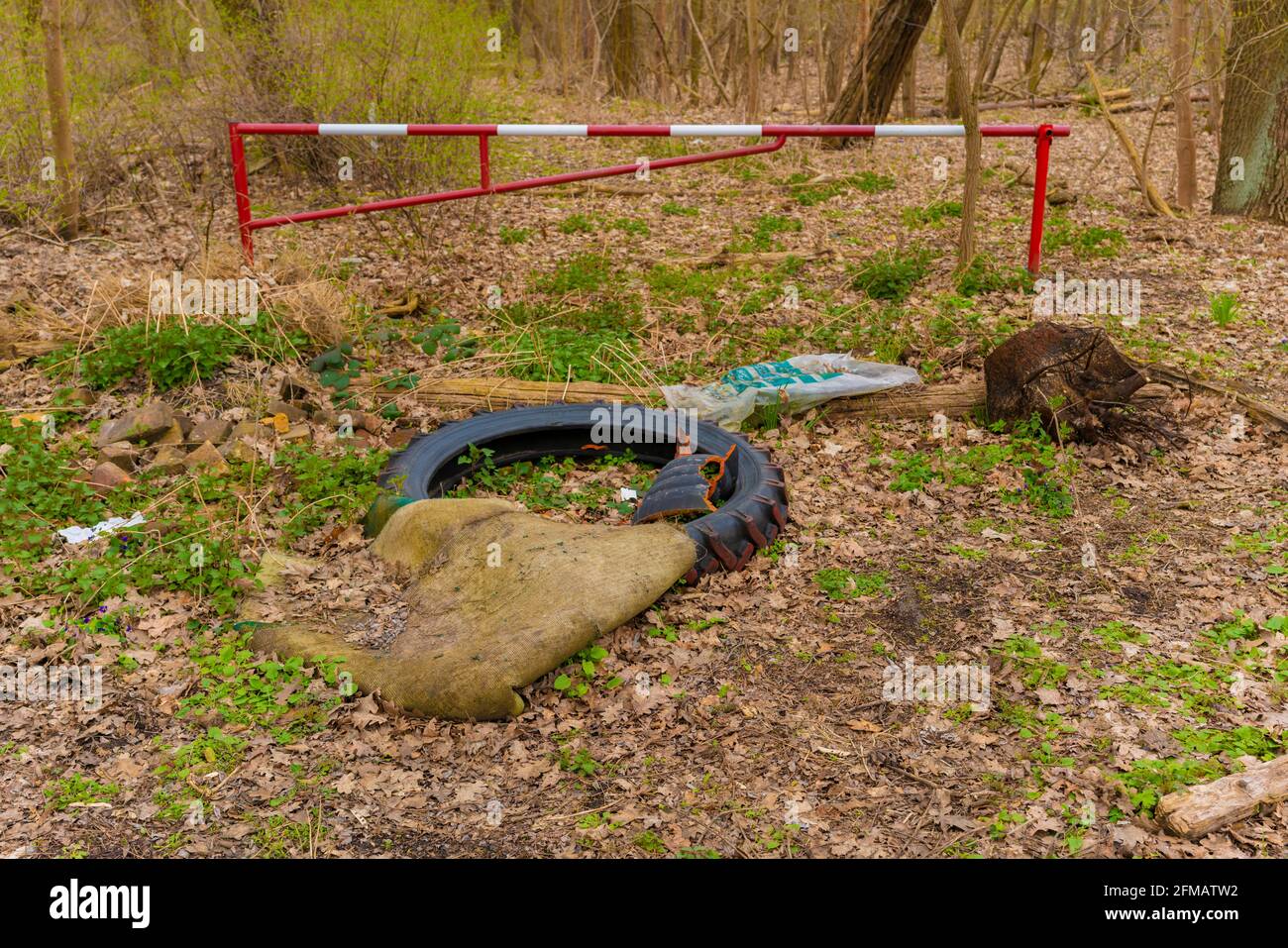 Les déchets illégaux déversés dans la forêt devant une entrée dans un chemin forestier, un sac en plastique, un pneu de tracteur, un tapis Banque D'Images