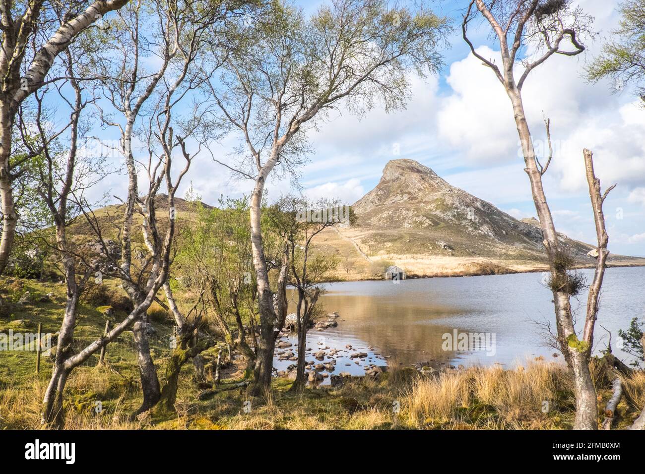 Lac Cregennan,Lacs Cregennan,à,la,base,près,Cadair Idris,Cader Idris,montagne.pittoresque,isolé,du milieu,de,l'ouest,du pays de Galles,rural,pittoresque,rural,emplacement,la colline principale 'pointy' que vous voyez à côté du lac est appelée 'Pared y Cefn Hir' et est accessible à pied.Il est aussi raide qu'il regarde, mais une fois que vous êtes au sommet, vous pouvez suivre le chemin vallonné sur toutes les crêtes, avec vue sur Barmouth et sur les lacs.Vous descendez et suivez ensuite le chemin au pied de la colline, ou vous pouvez marcher entre les lacs après la maison de bateau. Banque D'Images