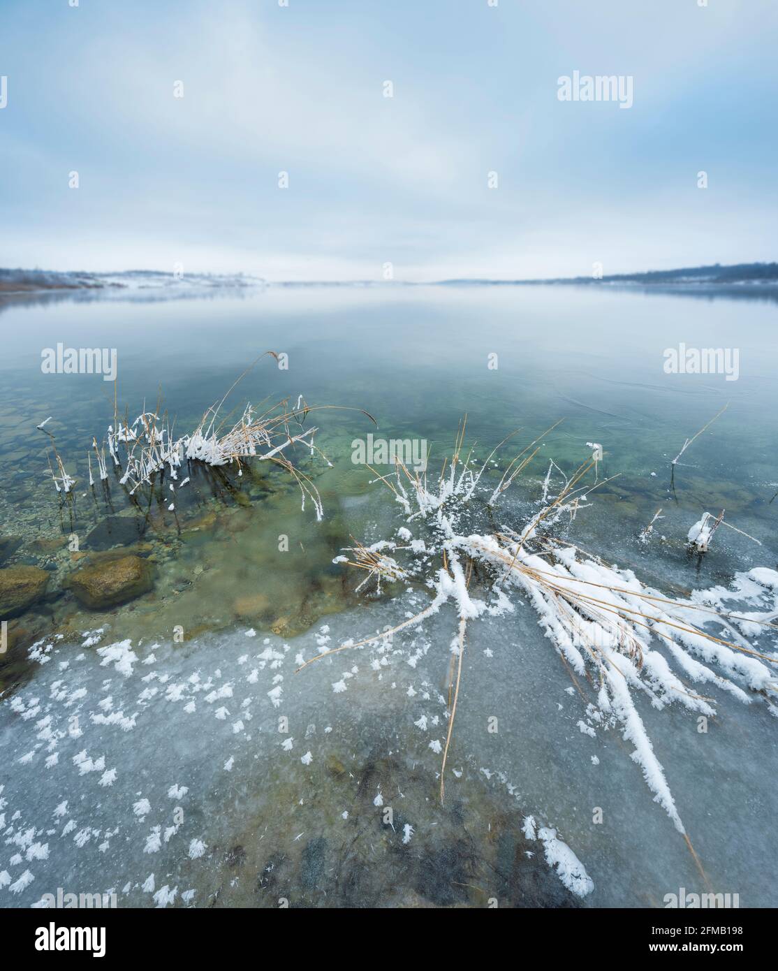 Allemagne, Saxe-Anhalt, Müuellen, Geiseltalsee, hiver au lac, roseaux avec neige et glace sur la rive Banque D'Images