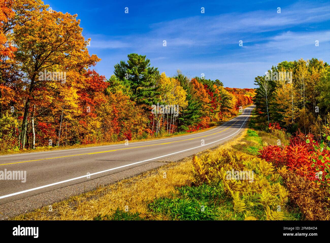Feuillage d'automne brillant le long des autoroutes du nord du Wisconsin, États-Unis. Banque D'Images