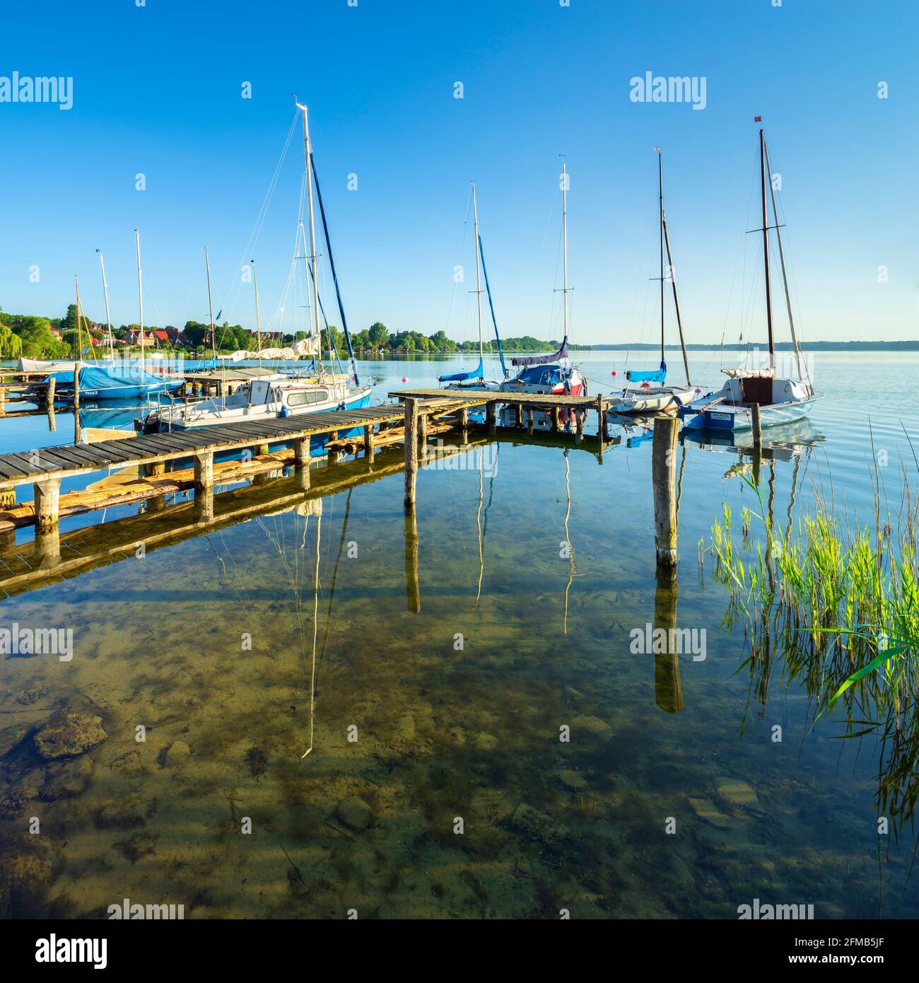 Allemagne, Mecklembourg-Poméranie occidentale, Zarrenn, humeur du matin à Schaalsee, jetée avec bateaux à voile Banque D'Images