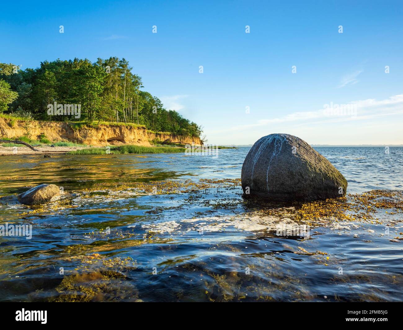 Paysage côtier naturel sur la mer Baltique, côte escarpée dans la lumière du soir, grand rocher dans la mer Baltique, Hohen Wieschendorf Huk, près de Wismar, Mecklembourg-Poméranie occidentale, Allemagne Banque D'Images
