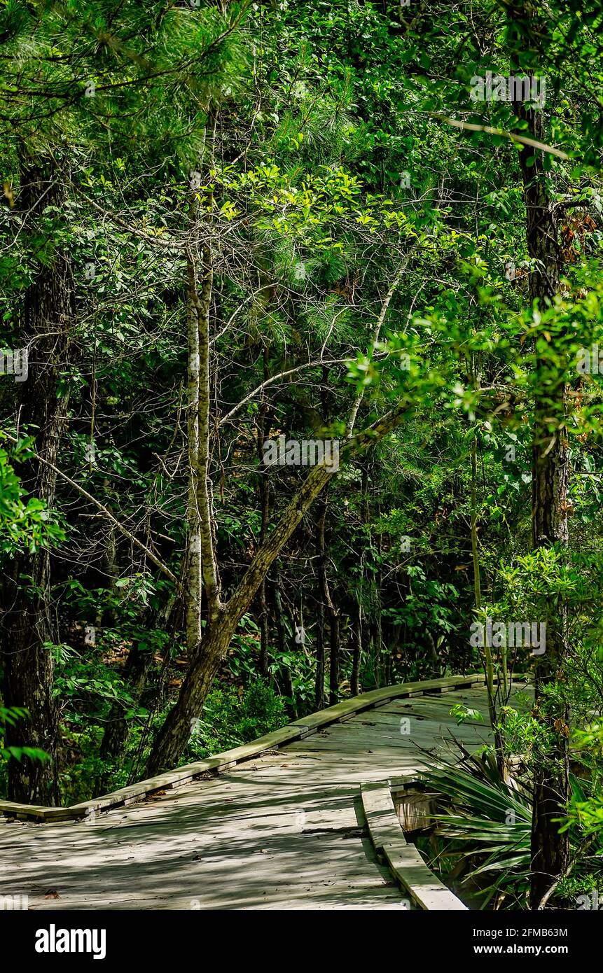 Le sentier nature’s Way est photographié au Gulf Islands National Seashore, le 1er mai 2021, à Ocean Springs Mississippi. Banque D'Images