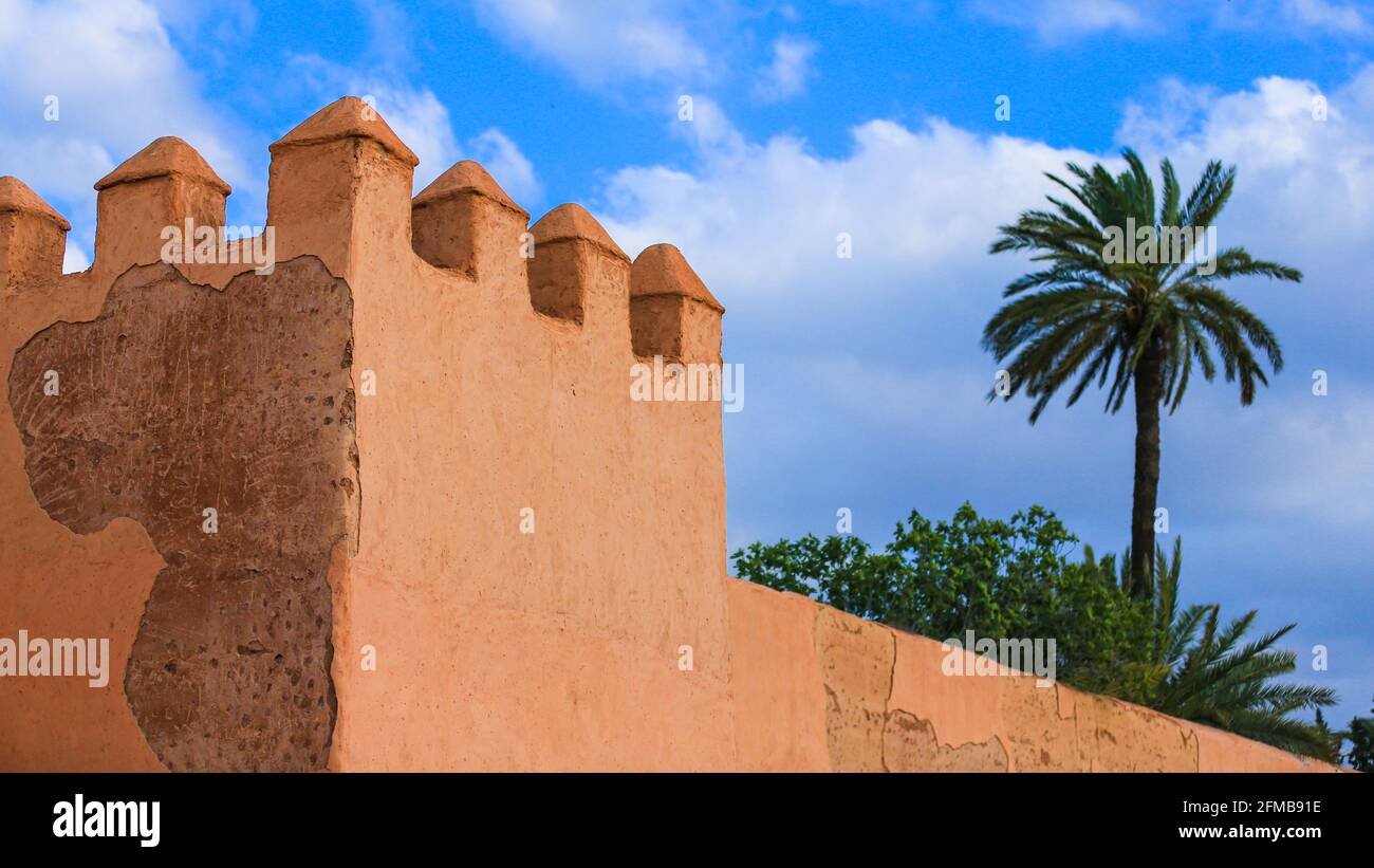 La vieille ville de Marrakech et un palmier vert arbre Banque D'Images La vieille ville de Marrakech et un palmier vert arbre Banque D'Images
