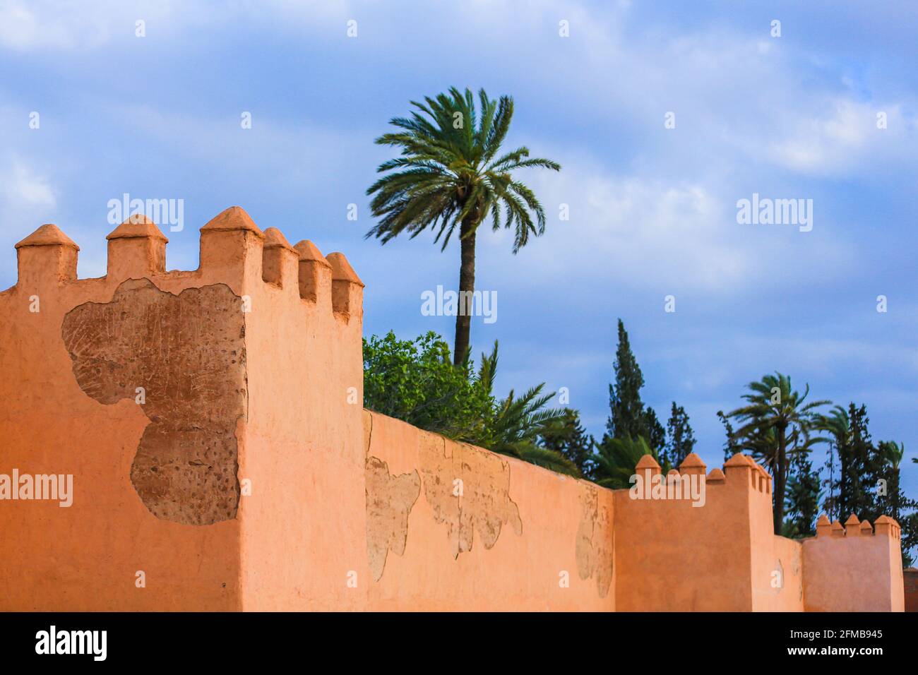 La vieille ville de Marrakech et un palmier vert arbre Banque D'Images La vieille ville de Marrakech et un palmier vert arbre Banque D'Images