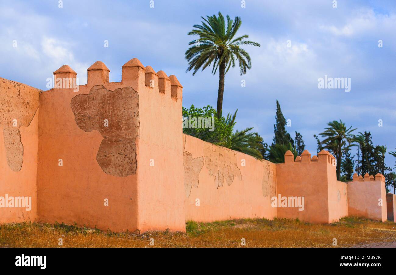 La vieille ville de Marrakech et un palmier vert arbre Banque D'Images La vieille ville de Marrakech et un palmier vert arbre Banque D'Images