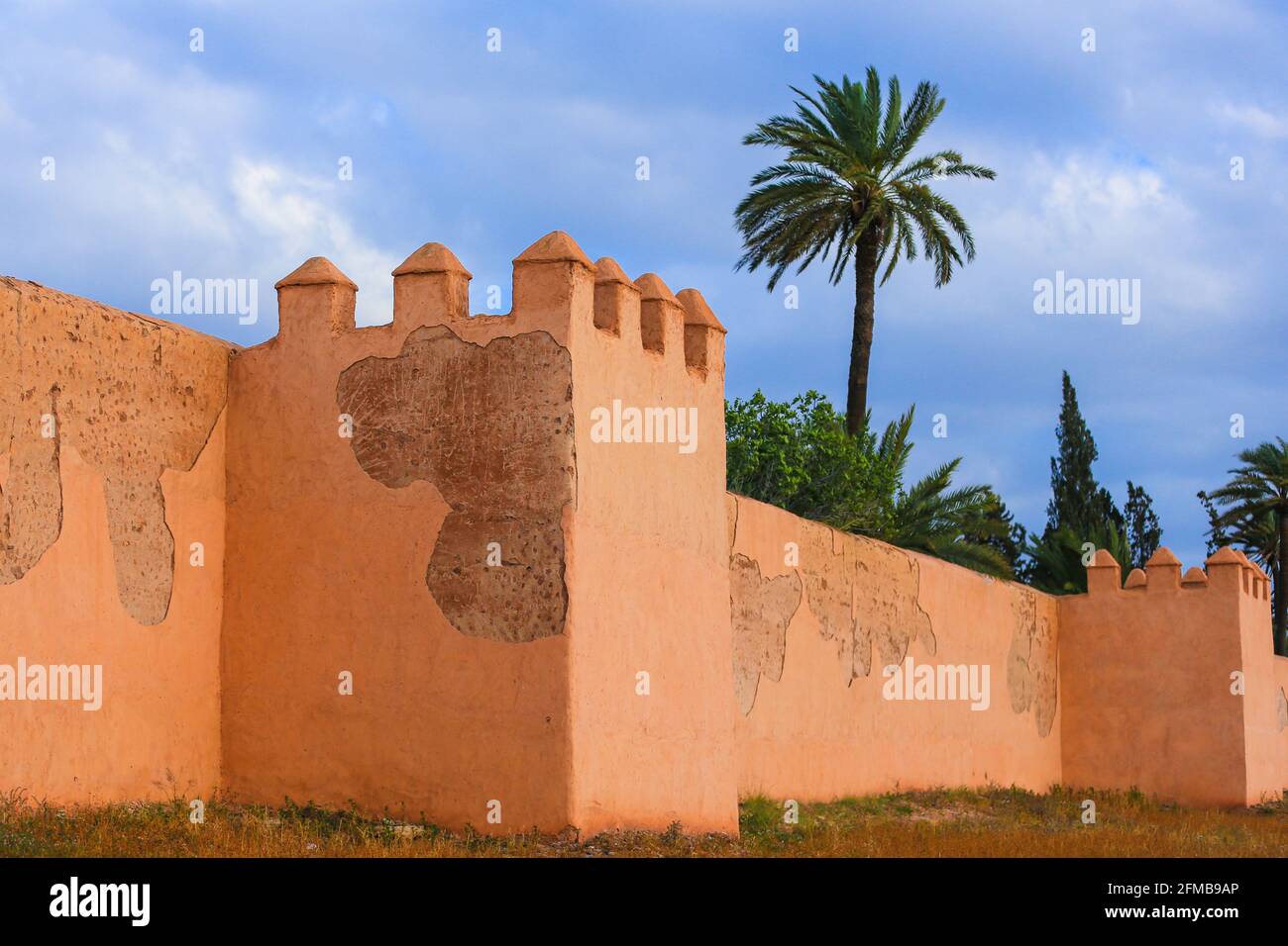 La vieille ville de Marrakech et un palmier vert arbre Banque D'Images La vieille ville de Marrakech et un palmier vert arbre Banque D'Images