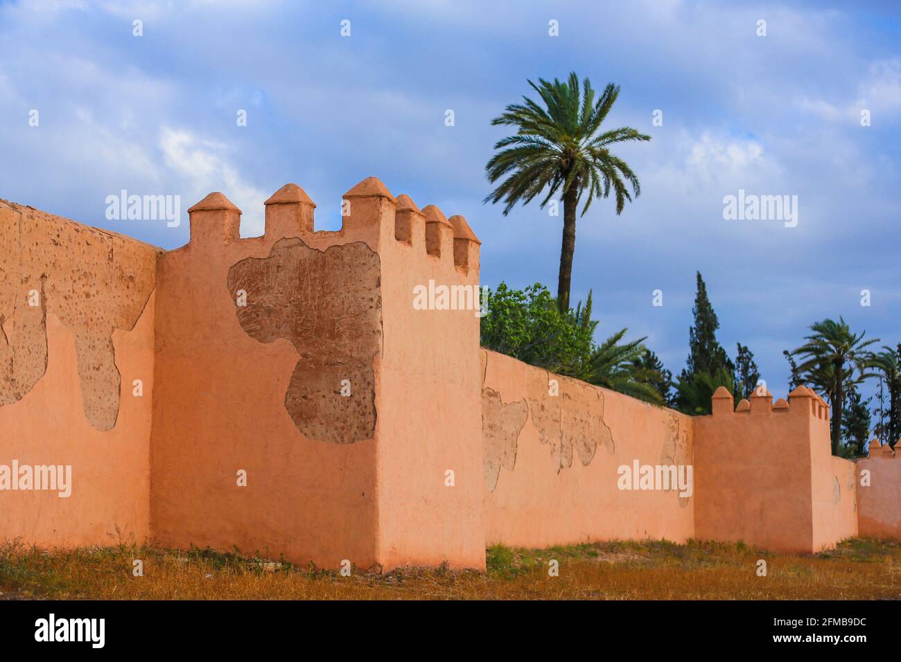 La vieille ville de Marrakech et un palmier vert arbre Banque D'Images La vieille ville de Marrakech et un palmier vert arbre Banque D'Images
