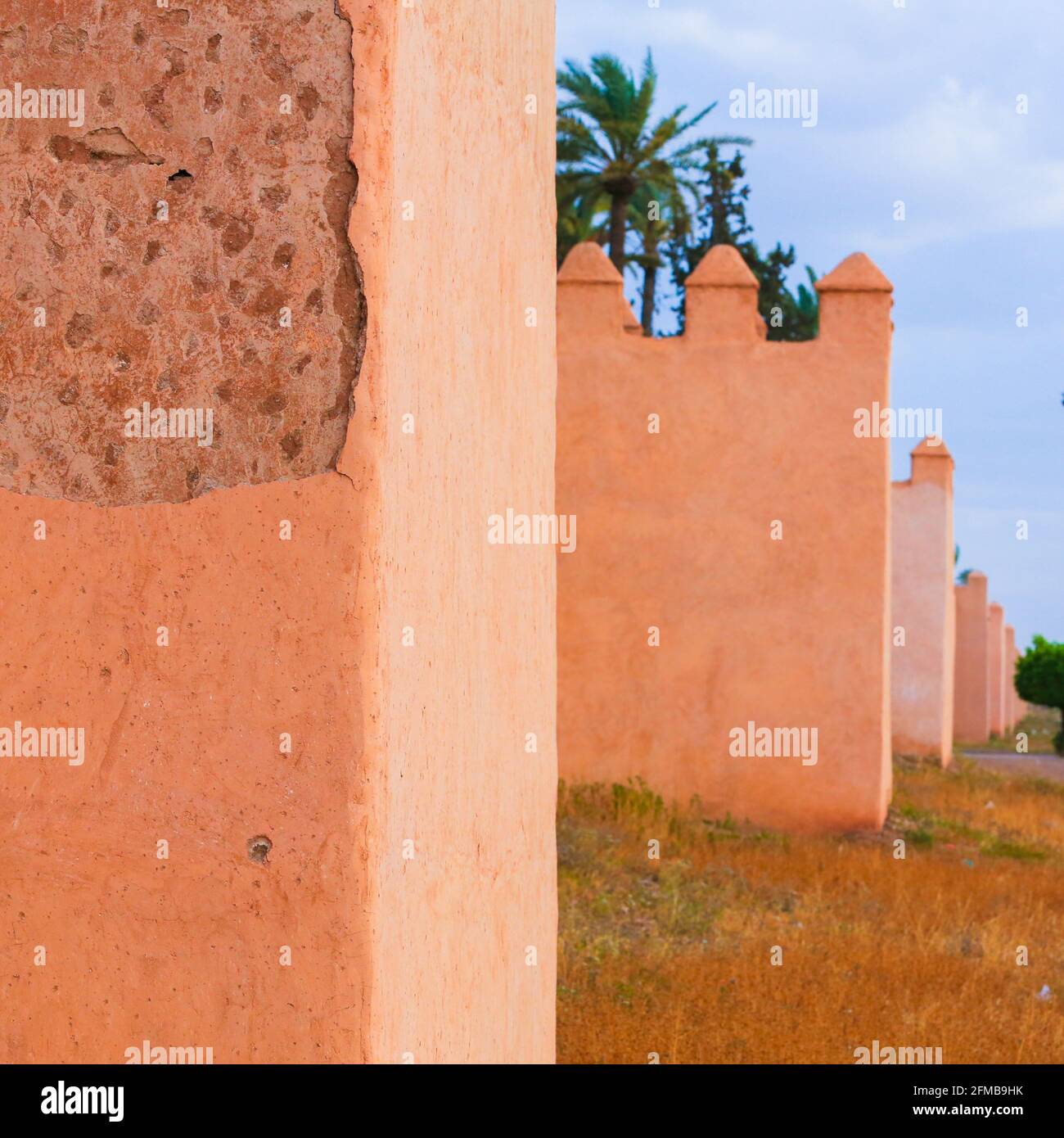 La vieille ville de Marrakech et un palmier vert arbre Banque D'Images La vieille ville de Marrakech et un palmier vert arbre Banque D'Images