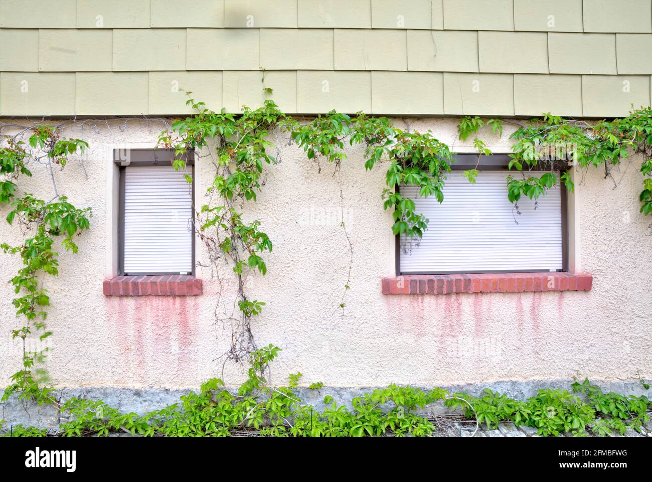Façade de maison, fenêtre, façade, été, Themar, Thuringe, Allemagne, Europe Banque D'Images