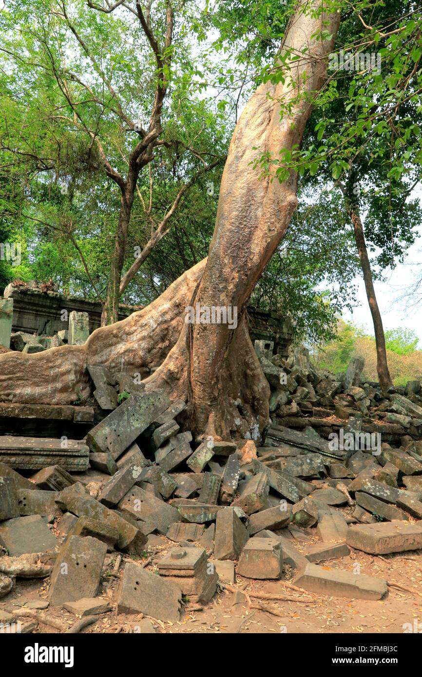 Ruines antiques Temple Beng Mealea Cambodge Banque D'Images