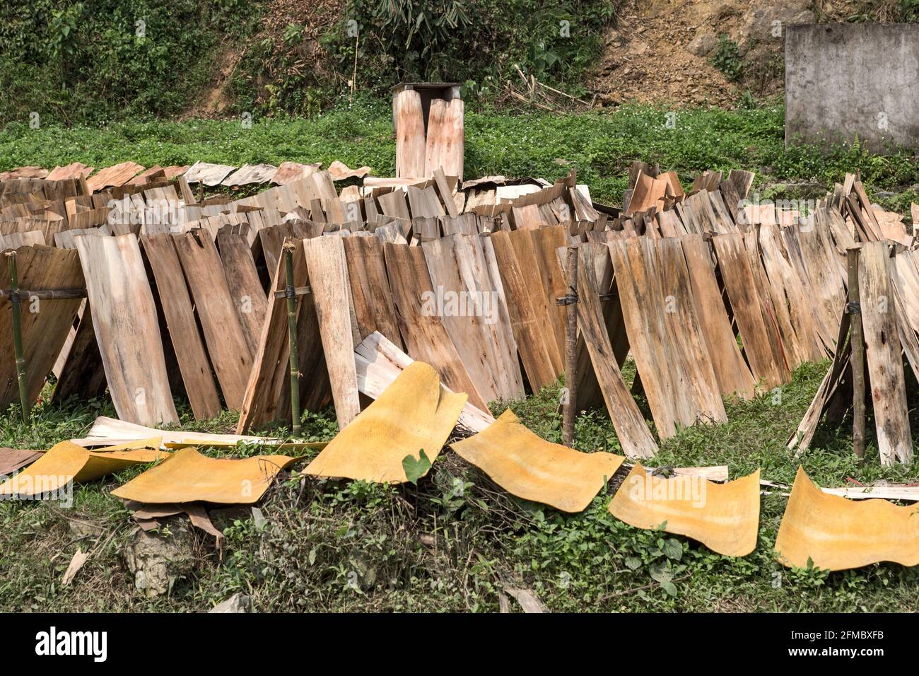 Feuilles de séchage pour faire du contreplaqué, province de Ha Giang, Vietnam Banque D'Images