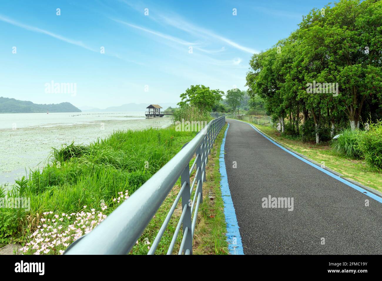 Sentier piétonnier au bord du lac Banque D'Images