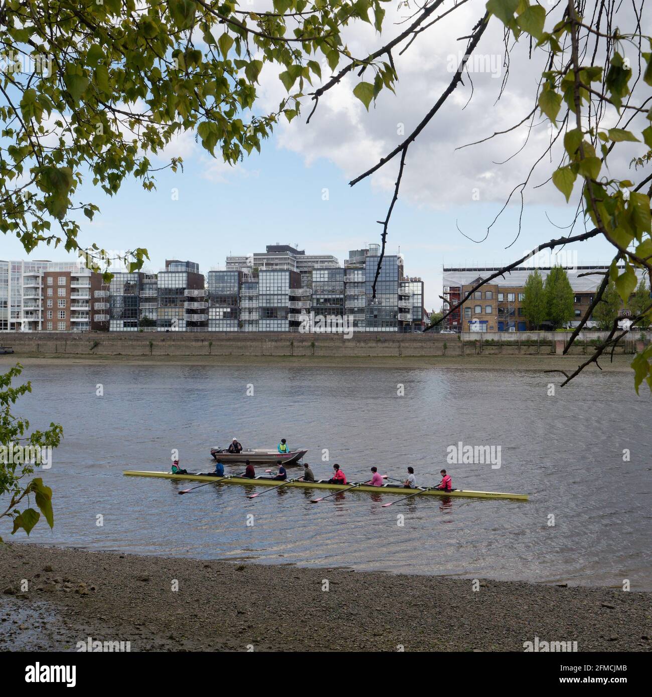 Londres, Grand Londres, Angleterre - Mai 04 2021 : Younsters train dans un bateau à rames sur la Tamise entre Putney et Hammersmith Banque D'Images