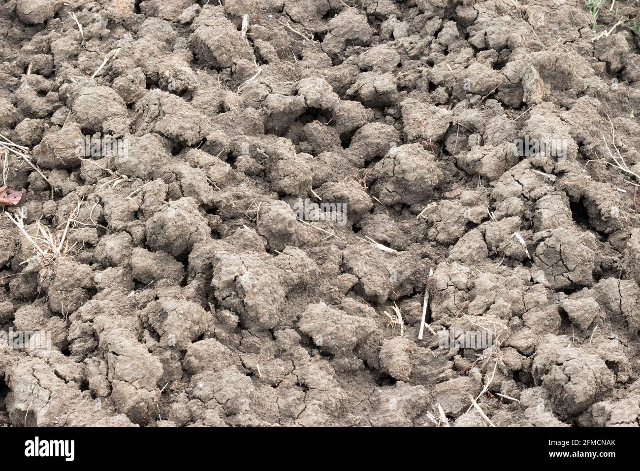 Le sol est une couche molle et granulaire de la surface de la terre Banque D'Images