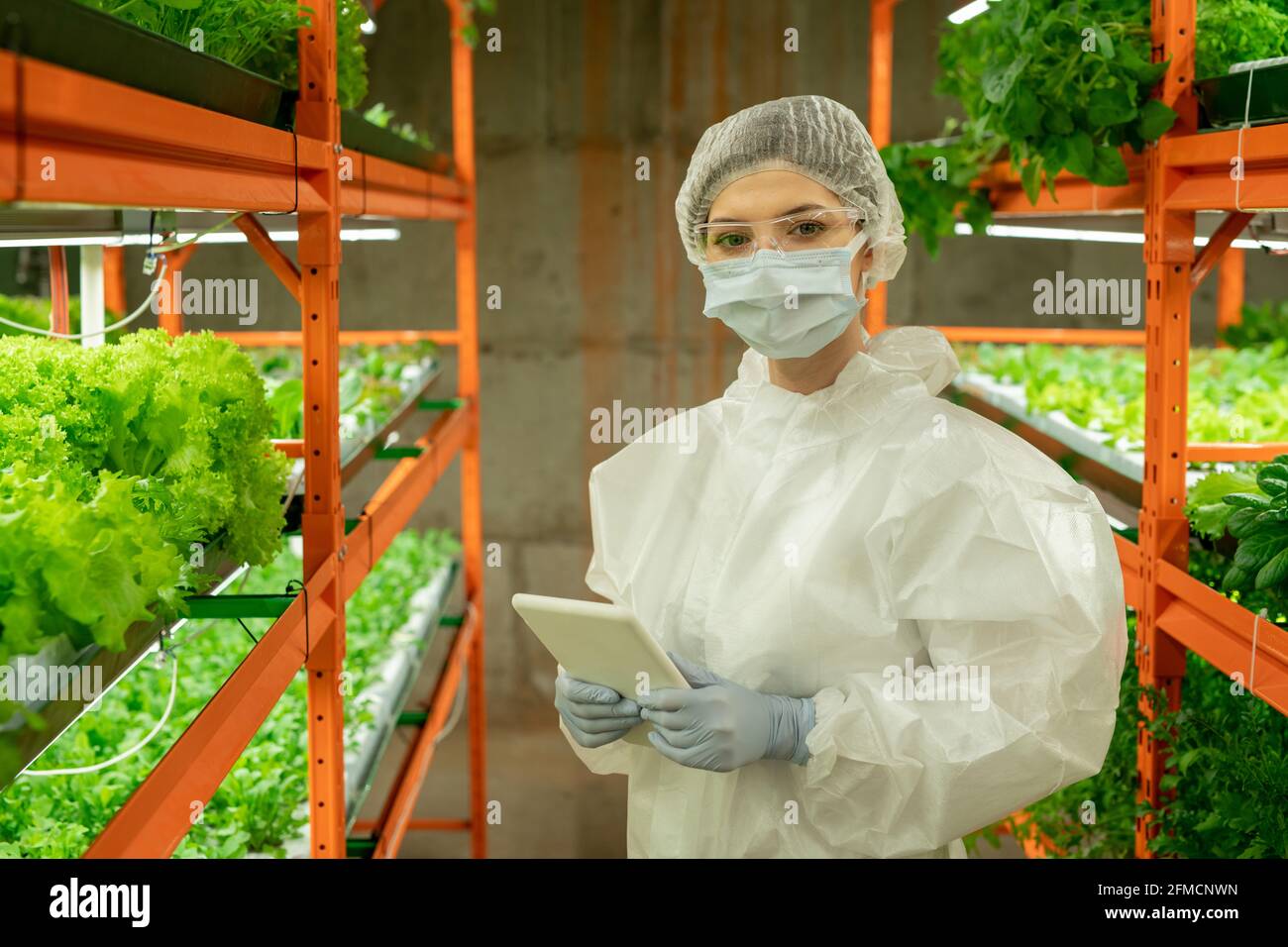 Portrait d'une femme cultivateur en combinaison de protection, masque et lunettes de protection debout avec une tablette numérique dans une serre agricole verticale Banque D'Images