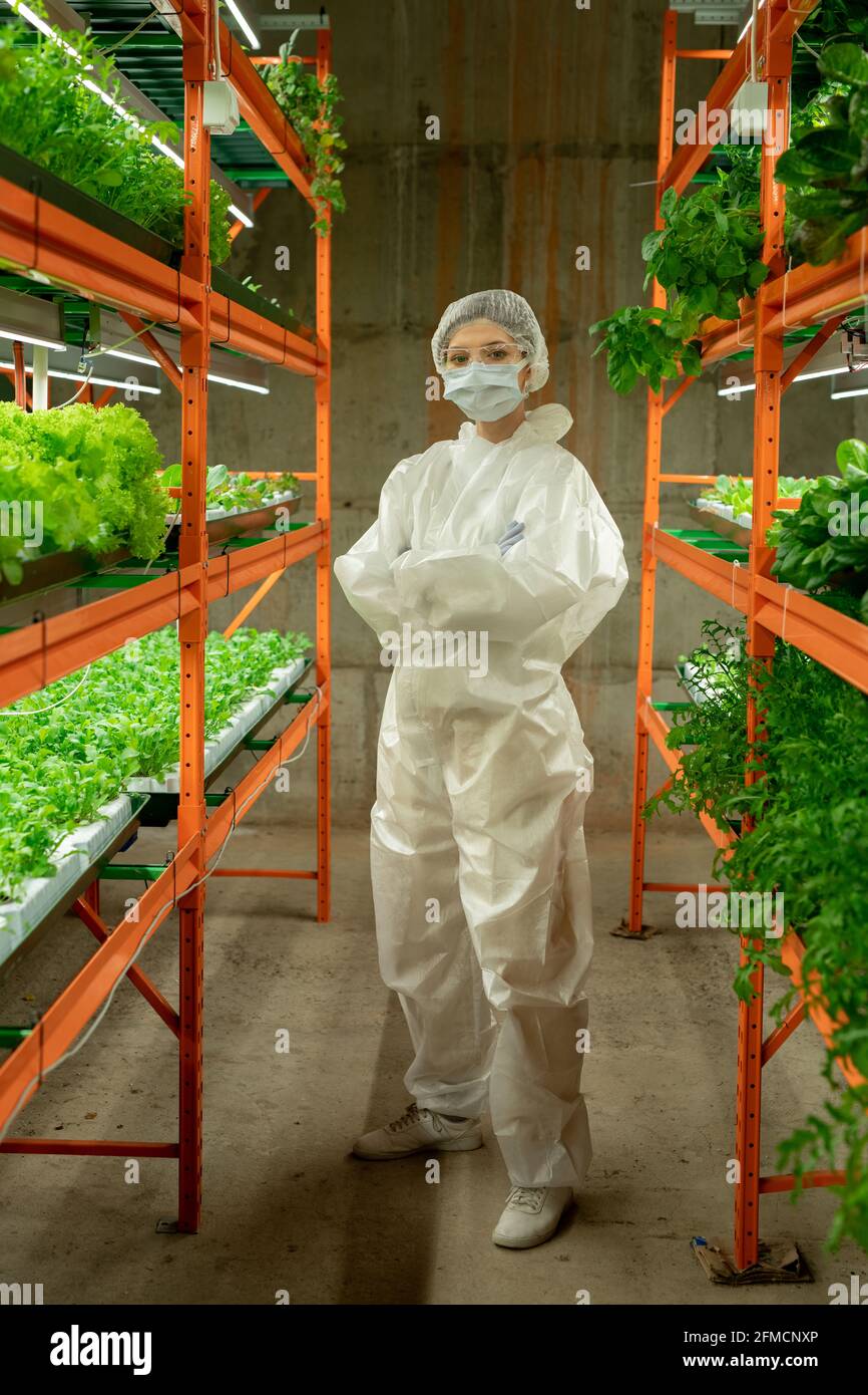 Portrait d'une agronome confiante en costume de protection, masque et casquette debout avec bras croisés entre les étagères verticales de la ferme Banque D'Images