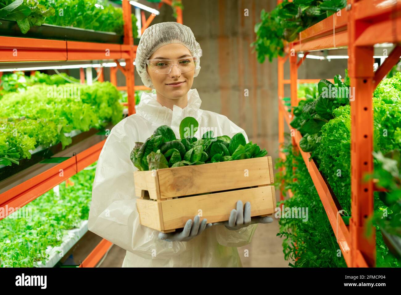 Portrait de sourire attrayant jeune agroingénieur dans les lunettes de sécurité et bouchon debout avec une boîte de plantes à la ferme verticale Banque D'Images