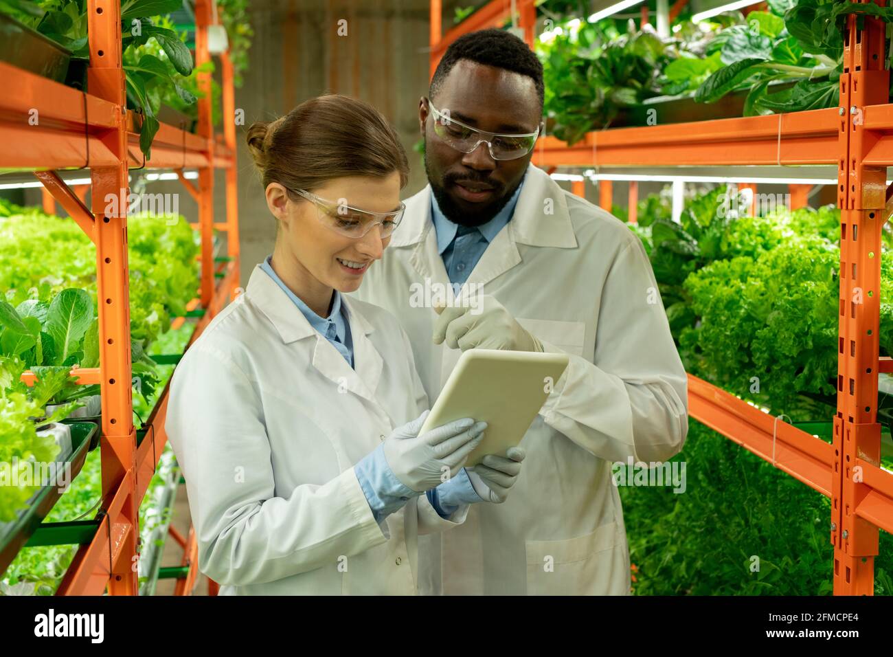 Souriant jeunes ingénieurs en serre interraciaux en blouses de laboratoire et de protection lunettes de protection utilisant une tablette tout en maintenant les contrôles de l'environnement ambiant Banque D'Images