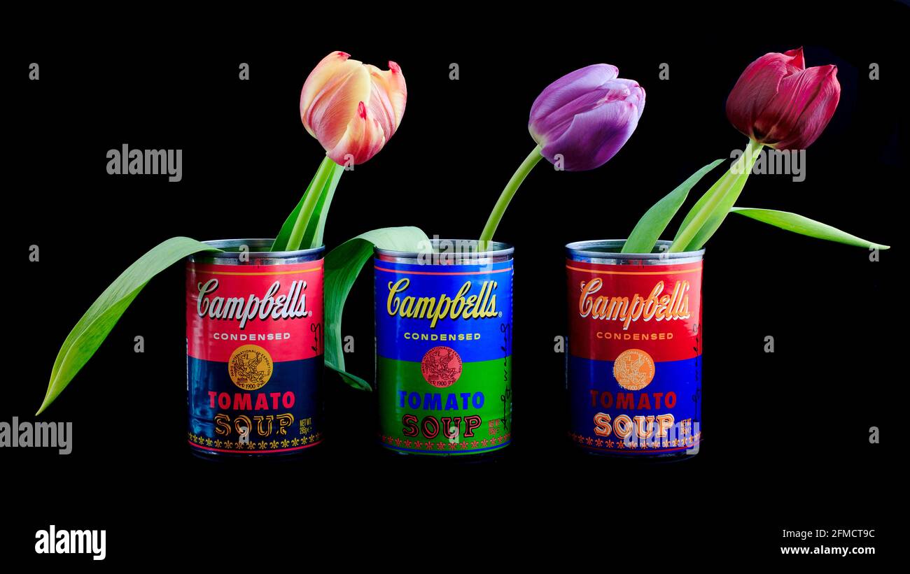Trois tulipes dans des boîtes de soupe Warhol Campbell / nature morte © film Free Photography / Alamy Banque D'Images