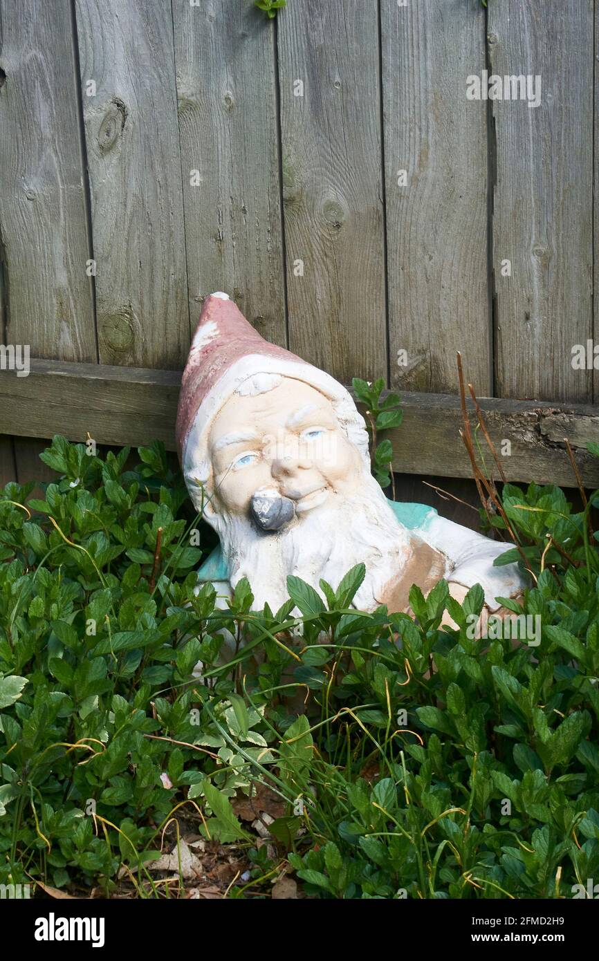 Gnome de jardin dans l'arrière-cour. Banque D'Images