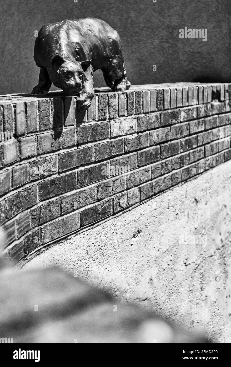 Partie du sentier architectural urbain, « Cat Walk », une statue en bronze d'un chat du sculpteur Vadim Bora, perchée sur un mur de briques à Asheville, en Caroline du Nord, aux États-Unis. Banque D'Images