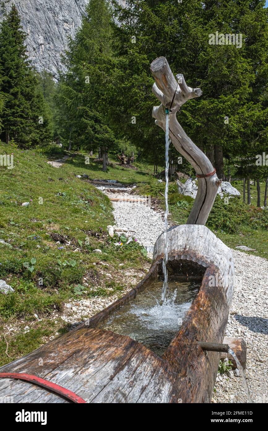 Sorgenti Piave, Italie - 30 juillet 2020 : bassin d'eau pour nourrir les animaux à la source de la rivière Piave Banque D'Images