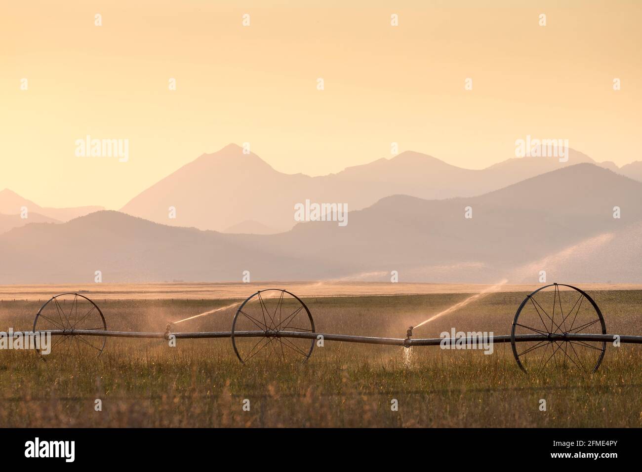 Arrosage au coucher du soleil avec un pulvérisateur sur pneus, Pioneer Mountains, Butte, Montana, États-Unis Banque D'Images