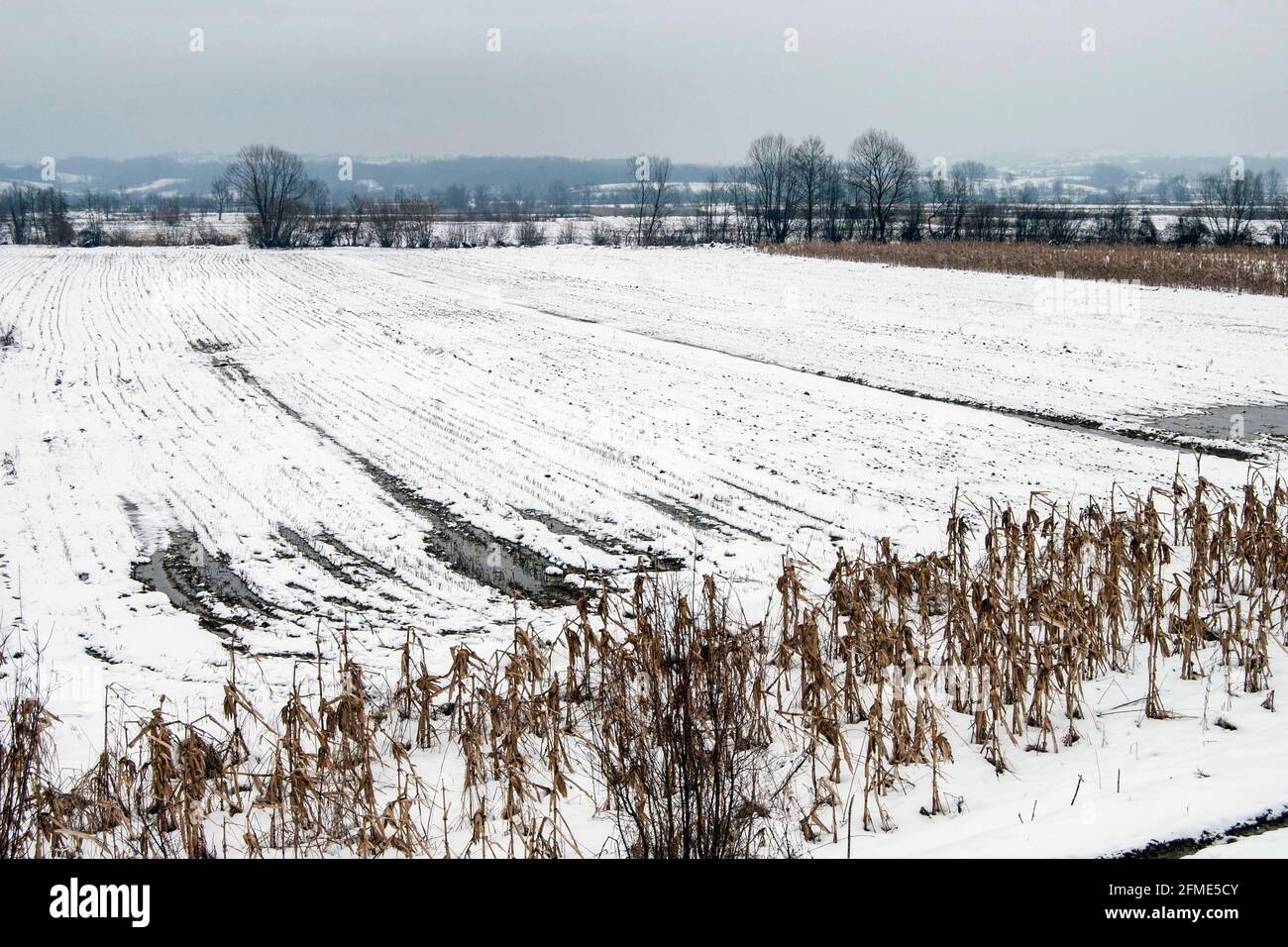 Panorama d'hiver de la vallée de la rivière Jadar dans l'ouest de la Serbie près de la ville de Loznica. Banque D'Images