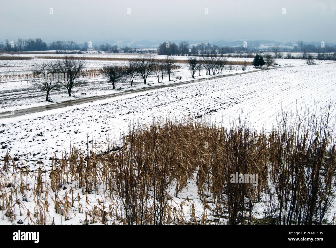 Panorama d'hiver de la vallée de la rivière Jadar dans l'ouest de la Serbie près de la ville de Loznica. Banque D'Images