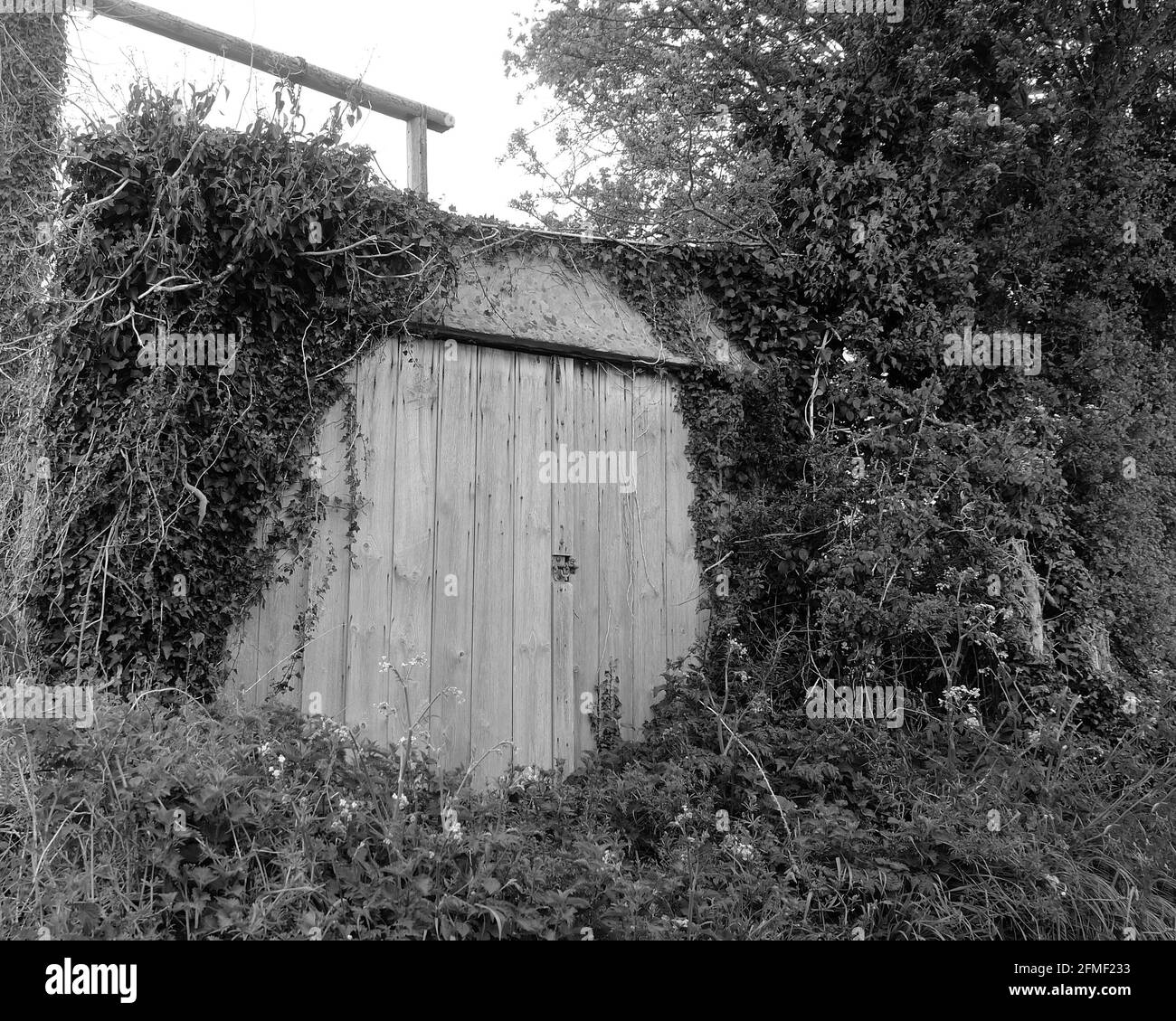 Mai 2021 - portes en bois surcultivées pour utilisation comme un arrière-plan ou texture Banque D'Images