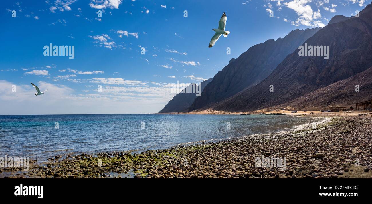 Côte de la mer Rouge près de la station de Dahab avec des falaises et des montagnes à l'horizon. Banque D'Images